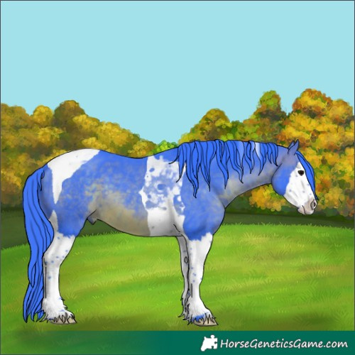 Horse Color:Watercolor Brown Splash Tobiano