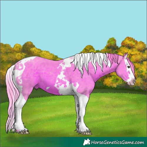 Horse Color:Watercolor Liver Chestnut Splash Tobiano