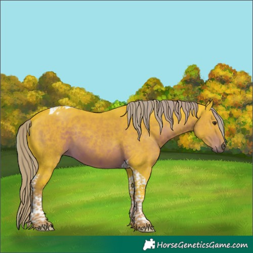 Horse Color:Watercolor Liver Chestnut Tobiano