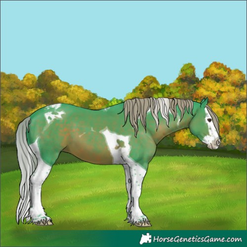 Horse Color:Watercolor Liver Chestnut Splash Tobiano 