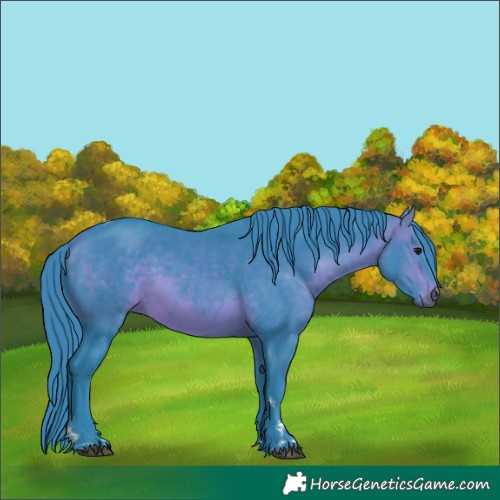 Horse Color:Watercolor Bay Tobiano 