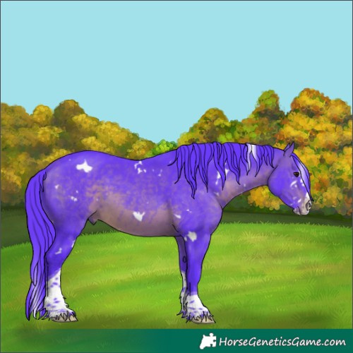 Horse Color:Watercolor White Spotted Brown Splash Tobiano 