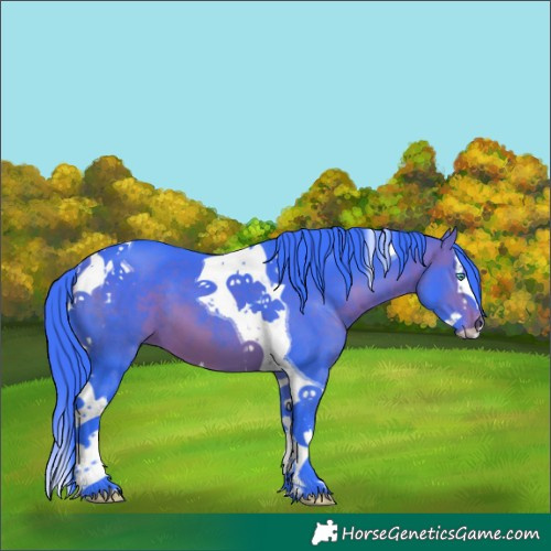 Horse Color:Watercolor Bay Splash Tobiano 
