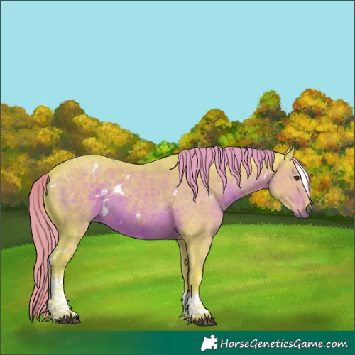 Horse Color:Watercolor White Spotted Liver Chestnut Tobiano