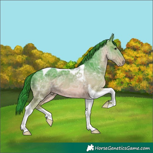 Horse Color:Watercolor Brown Ice Tobiano