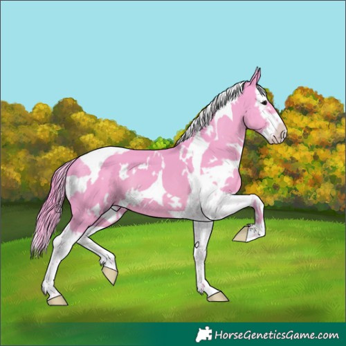 Horse Color:Watercolor White Spotted Black Splash Tobiano