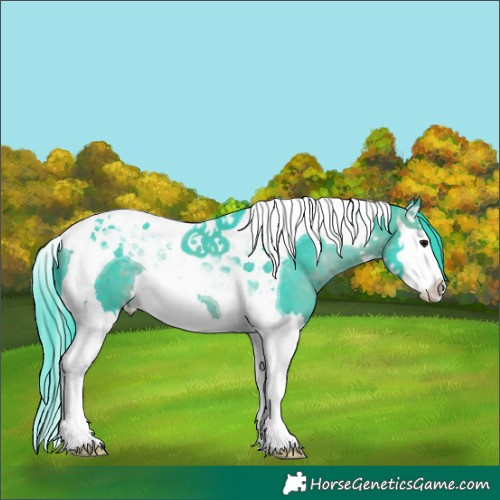 Horse Color:Watercolor Brown Splash Tobiano 