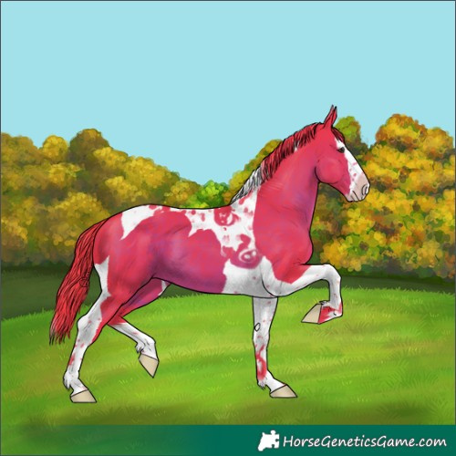 Horse Color:Watercolor Liver Chestnut Splash Tobiano 