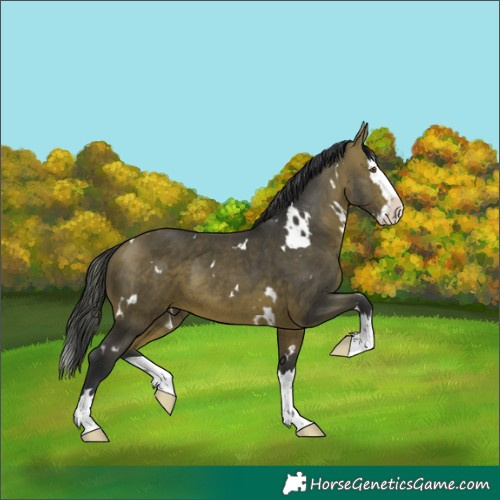Horse Color:White Spotted Bay Mushroom Splash 
