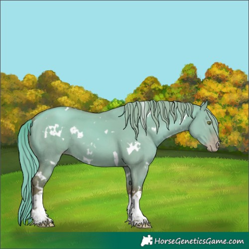 Horse Color:White Spotted Gold Champagne Dun Tobiano
