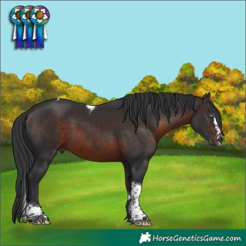 Horse Color:Brown Splash Tobiano