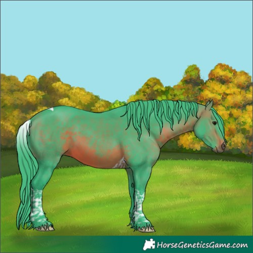 Horse Color:Watercolor Brown Tobiano