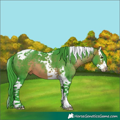 Horse Color:Watercolor Brown Splash Tobiano 