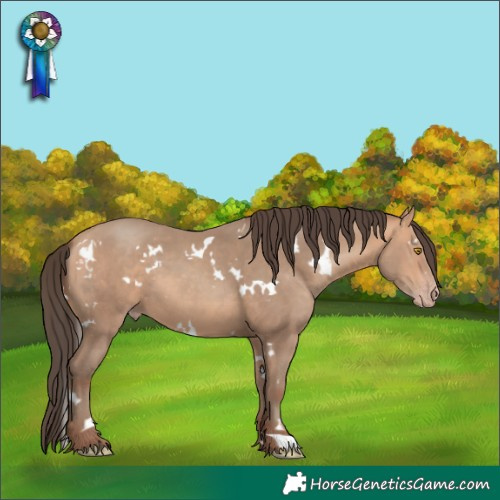 Horse Color:White Spotted Amber Champagne 