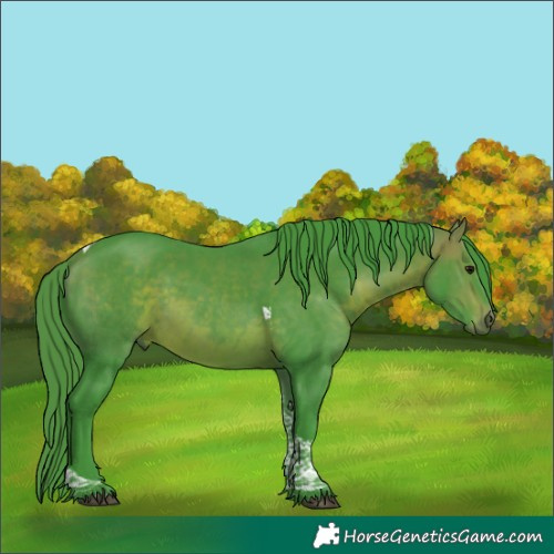 Horse Color:Watercolor Bay Tobiano 