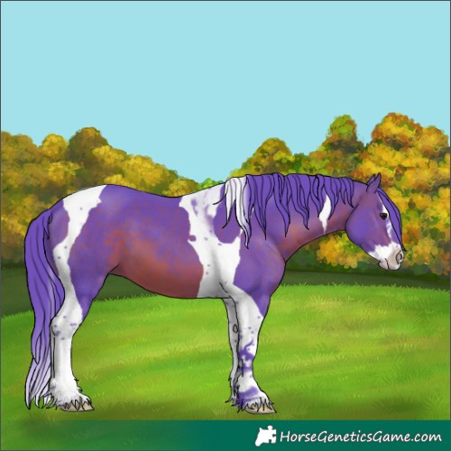 Horse Color:Watercolor Brown Splash Tobiano 