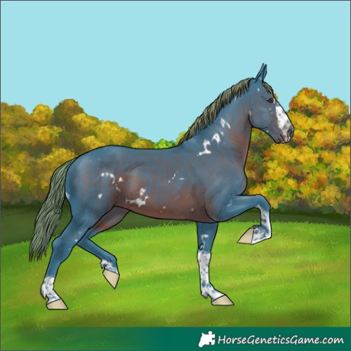 Horse Color:Watercolor White Spotted Liver Chestnut Splash Tobiano 