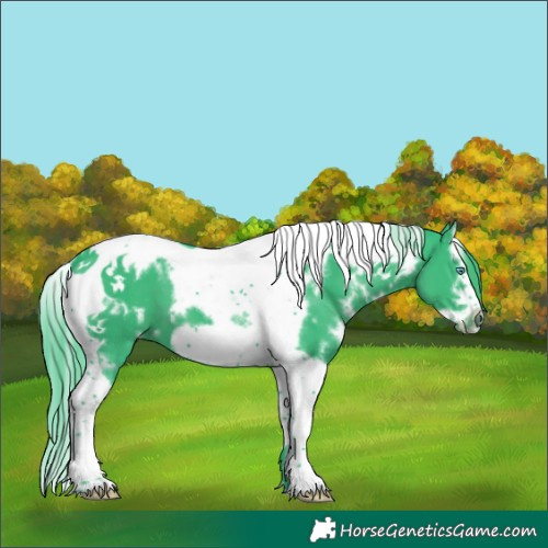 Horse Color:Watercolor White Spotted Black Splash Tobiano Frame 