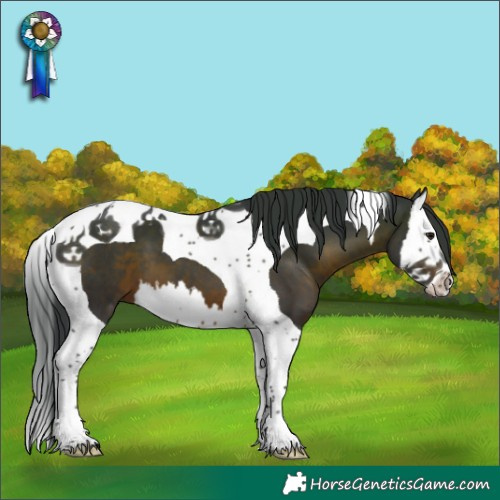 Horse Color:Brown Splash Tobiano 
