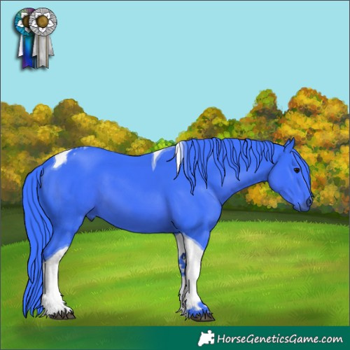Horse Color:Watercolor Black Tobiano 