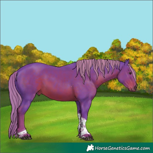 Horse Color:Watercolor Liver Chestnut Tobiano 