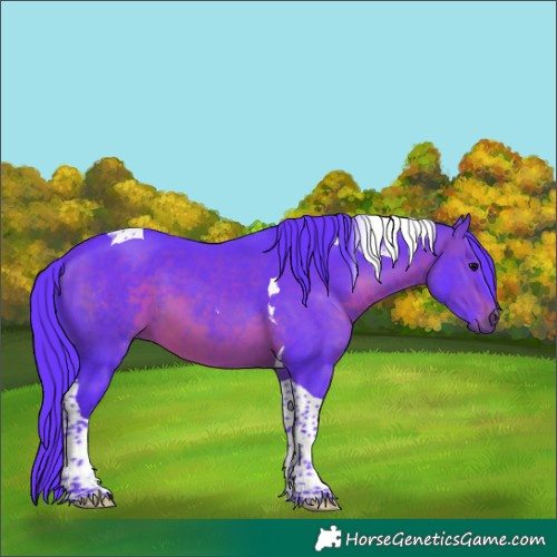 Horse Color:Watercolor Brown Tobiano 