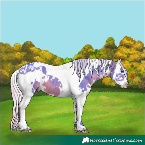 Horse Color:Watercolor White Spotted Silver Brown Splash Tobiano 