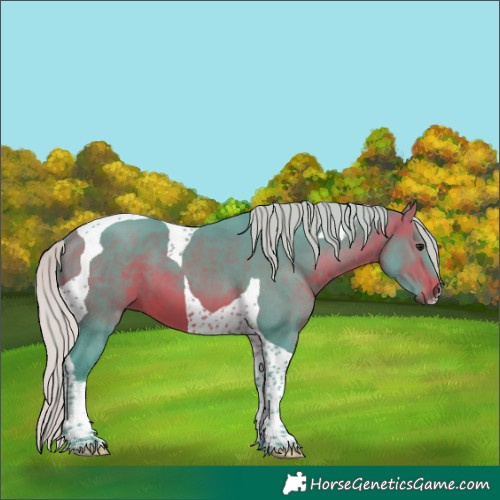 Horse Color:Watercolor Silver Brown Tobiano