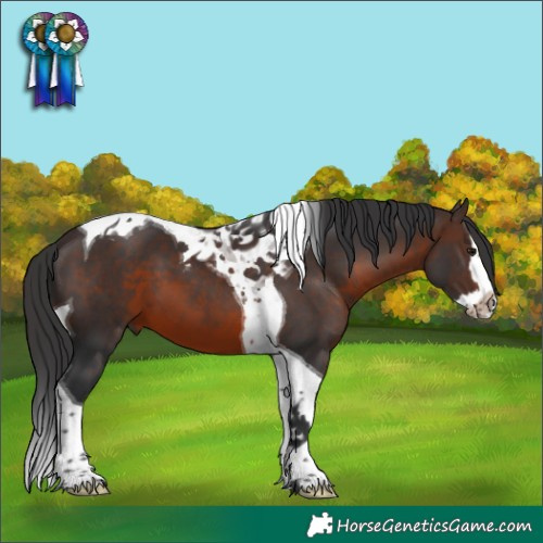 Horse Color:Brown Splash Tobiano 