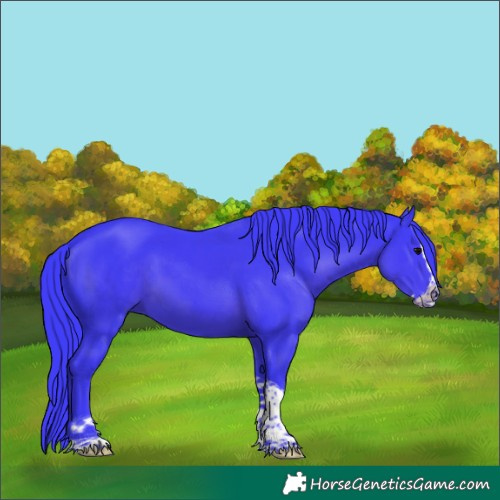Horse Color:Watercolor Black Splash Tobiano 