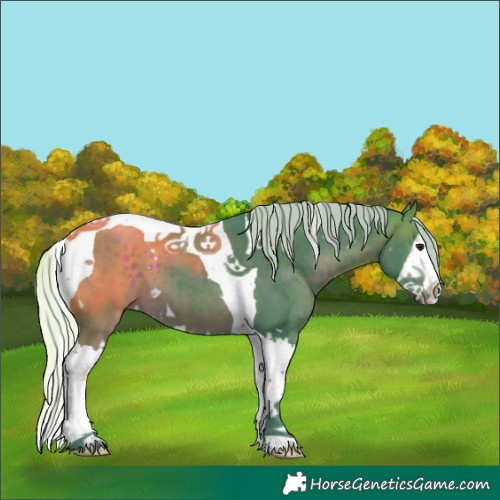 Horse Color:Watercolor White Spotted Silver Brown Splash Tobiano 