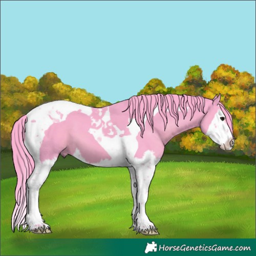 Horse Color:Watercolor Black Splash Tobiano