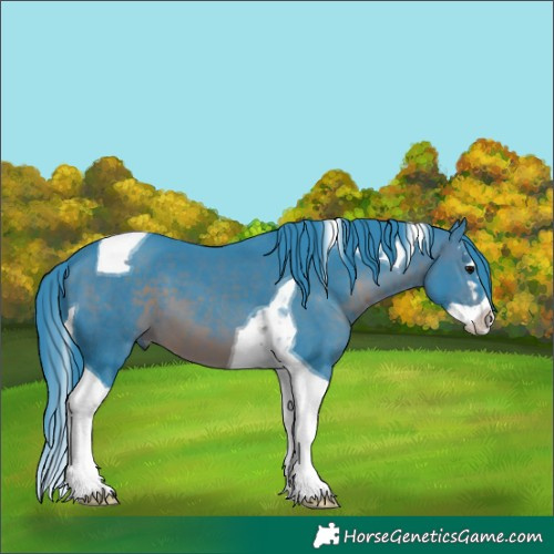 Horse Color:Watercolor Brown Splash Tobiano 