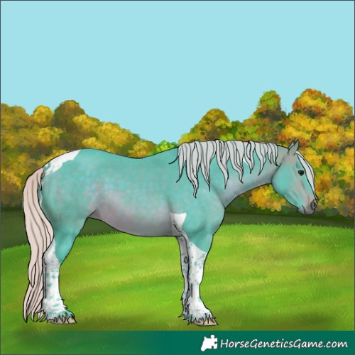Horse Color:Watercolor Silver Brown Tobiano
