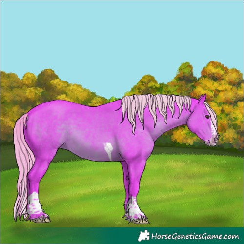 Horse Color:Watercolor Liver Chestnut Splash Tobiano