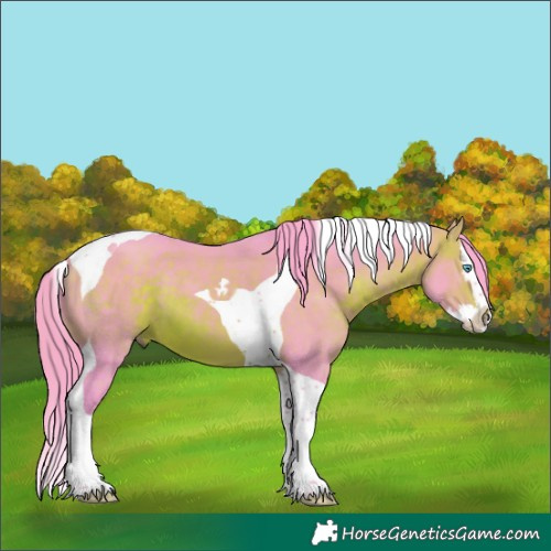 Horse Color:Watercolor Brown Splash Tobiano