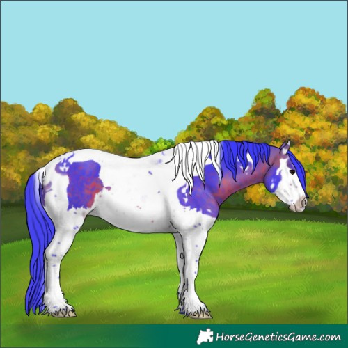 Horse Color:Watercolor Bay Splash Tobiano 