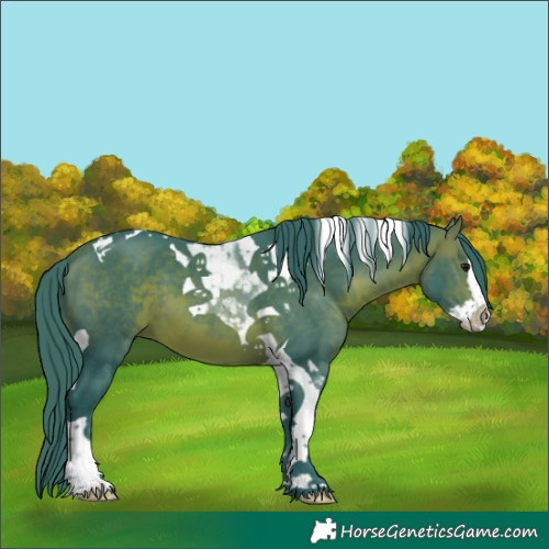 Horse Color:Watercolor Brown Splash Tobiano 
