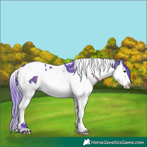 Horse Color:Watercolor Brown Splash Tobiano 