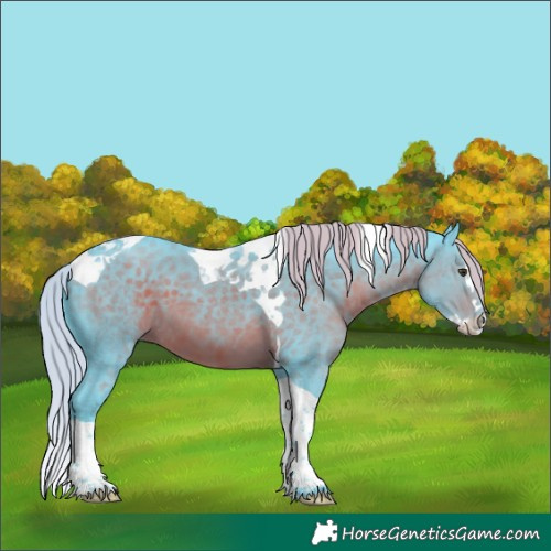 Horse Color:Watercolor Liver Chestnut Splash Tobiano