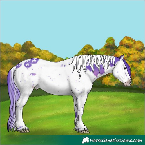 Horse Color:Watercolor Brown Splash Tobiano 