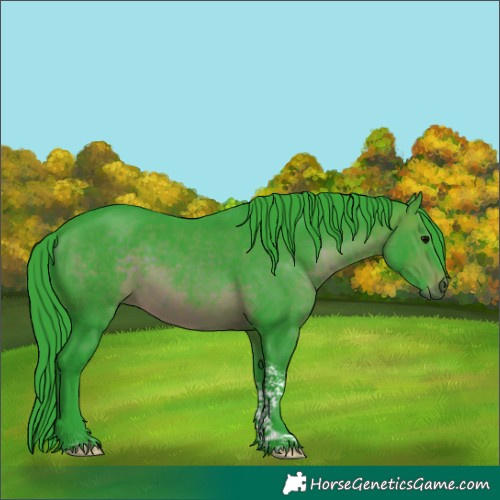 Horse Color:Watercolor Brown Tobiano 