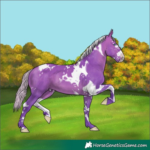 Horse Color:Watercolor Silver Bay Splash Tobiano