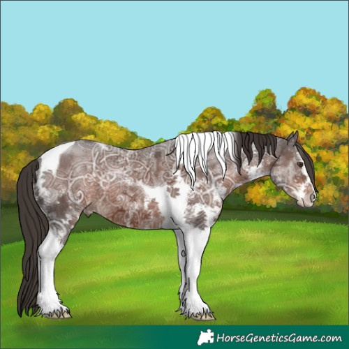 Horse Color:White Spotted Liver Chestnut Ice Tobiano 