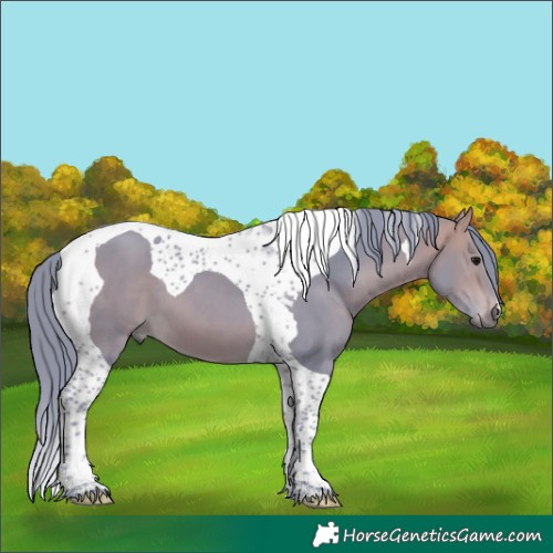 Horse Color:Watercolor Bay Tobiano