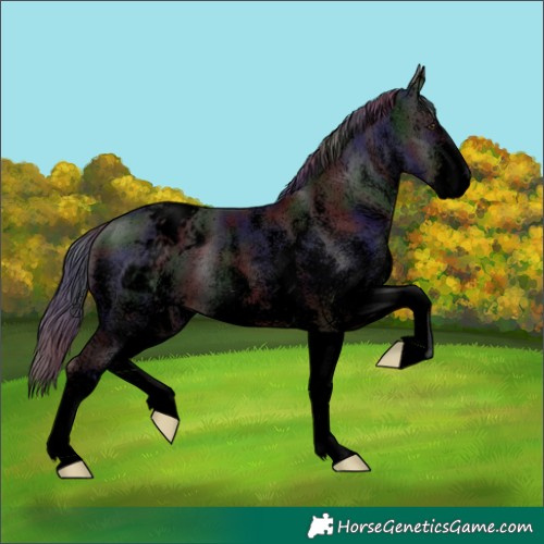 Horse Color:Void Nacre White Spotted Liver Chestnut Snowcap