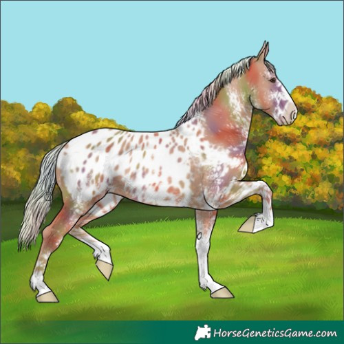Horse Color:Nacre White Spotted Chestnut Mushroom Blanket 