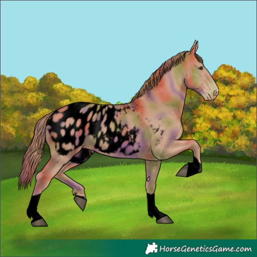 Horse Color:Void Nacre Chestnut Tobiano Blanket