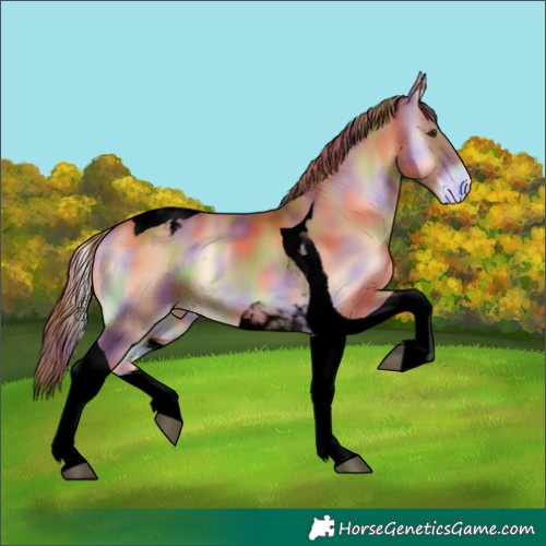 Horse Color:Void Nacre Red Onyx Tobiano Snowcap