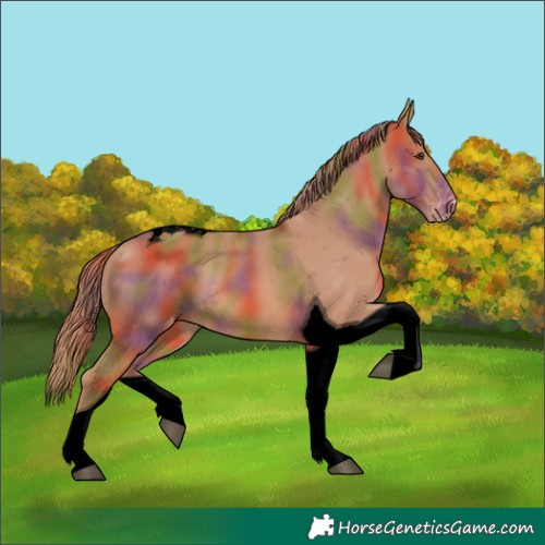 Horse Color:Void Nacre Chestnut Tobiano Varnish